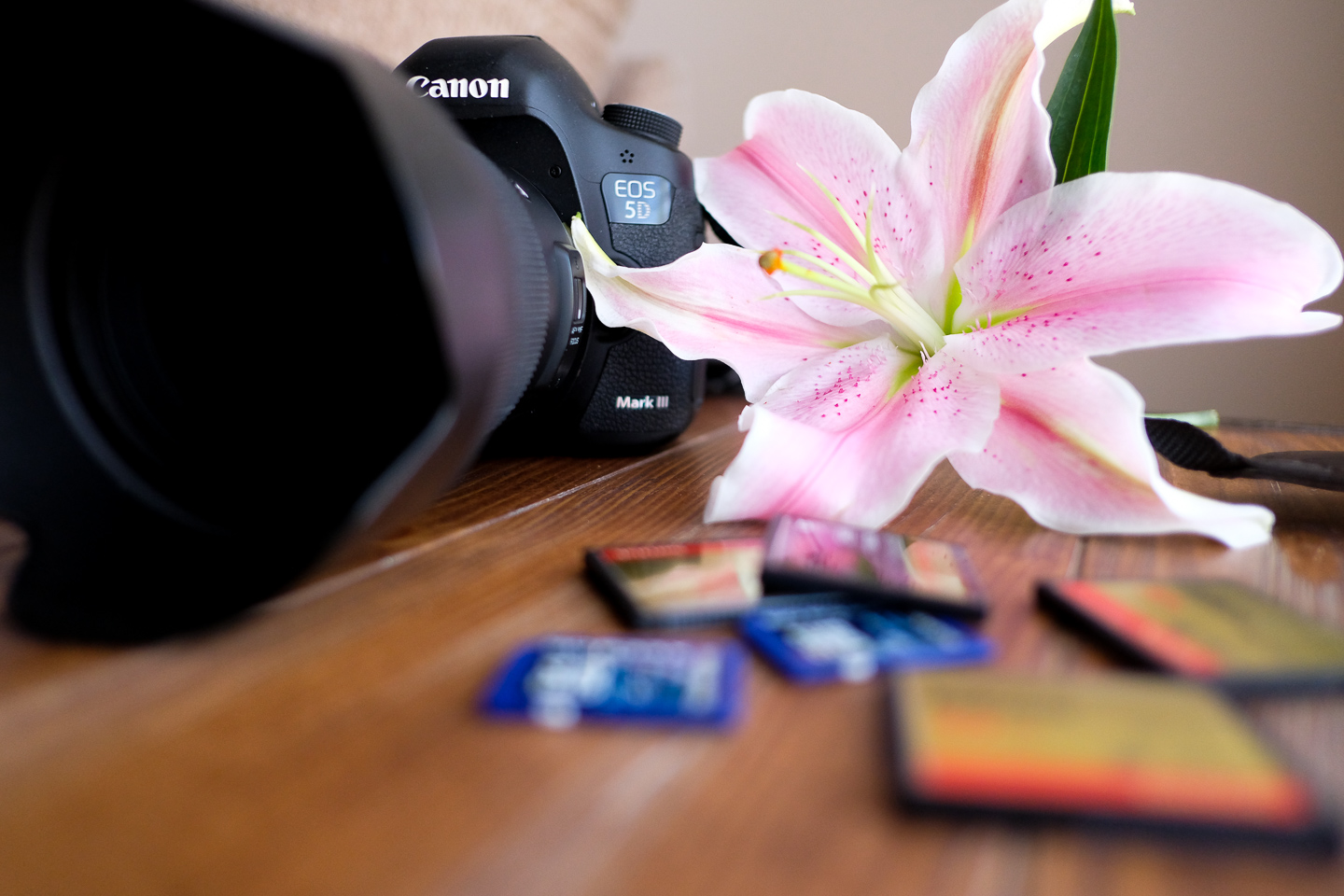 canon-camera-lilies-cards-maine-photographer